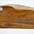 Petrified-Wood,