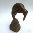 kiwi,