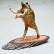 Taxidermy-Cane-Toad